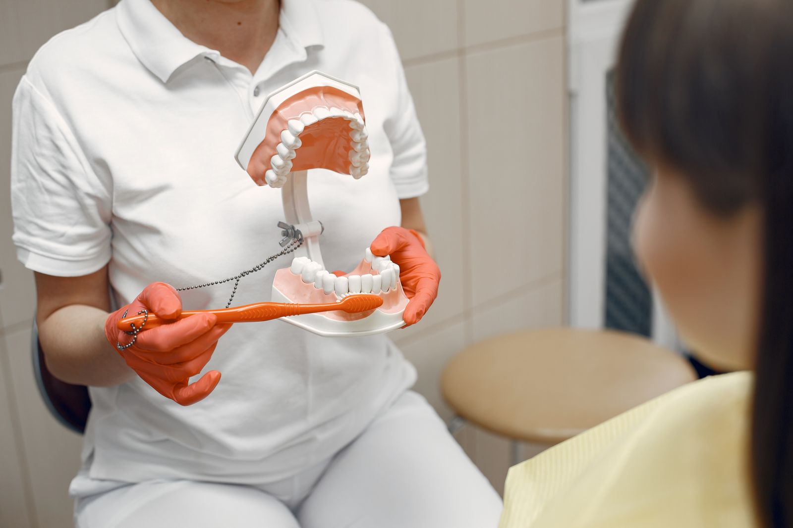A dentist explaining treatment to a patient using a jaw model